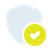 Shield and check mark icon